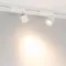 Минифото #2 товара Светильник LGD-DYKE-2TR-R60-8W Warm3000 (WH, 38 deg, 230V) (Arlight, IP20 Металл, 5 лет)