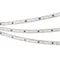 Минифото #3 товара Светодиодная лента герметичная SPI-PFS-B60-12mm 12V RGB-PX3-BPT (12 W/m, IP68, 5060, 5m) (Arlight, бегущий огонь)