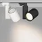 Минифото #2 товара Светильник LGD-SHOP-4TR-R100-40W Cool SP7500-Fish (BK, 24 deg) (Arlight, IP20 Металл, 3 года)