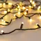 Минифото #6 товара Светодиодная гирлянда ARD-STRING-CLASSIC-10000-BLACK-100LED-MILK-SYNC RGB (230V, 6.5W) (Ardecoled, IP65)
