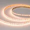 Минифото #1 товара Светодиодная лента RT-A168-10mm 24V RGBW-Warm (20 W/m, IP20, 5m) (Arlight, высок.эфф.150 лм/Вт)