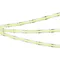 Минифото #3 товара Светодиодная лента COB-X544-8mm 24V Green (11.5 W/m, IP20, 5m) (Arlight, -)