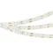 Минифото #2 товара Светодиодная лента RT-A196-15mm 24V Warm2700 CRI98 (20 W/m, IP20, 2835, 5m) (Arlight, Открытый)