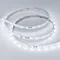 Минифото #4 товара Светодиодная лента RT-10000 24V White5500 (3528, 60 LED/m, 10m) (Arlight, 4.8 Вт/м, IP20)