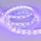 Минифото #2 товара Светодиодная лента RT 2-5000 12V UV400 2x (5050, 300 LED, LUX) (Arlight, 14.4 Вт/м, IP20)