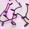 Минифото #4 товара Светодиодная гирлянда ARD-STRING-CLASSIC-10000-BLACK-100LED-STD PINK (230V, 7W) (Ardecoled, IP65, 1 год)