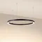 Минифото #2 товара Светильник SP-CIRCLE-HANG-O3535-D900-55W Warm3000 (RAL9005, 120 deg, 230V) IP40 LED (Arlight, Алюминий)