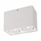 Минифото #1 товара Светильник SP-CUBUS-S100x200-2x11W Day4000 (WH, 40 deg, 230V) (Arlight, IP20 Металл, 3 года)