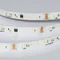 Минифото #2 товара Светодиодная лента DMX-A96-12mm 24V White6000-PX12 (14 W/m, IP20, 5m) (Arlight, CRI>90)