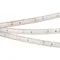 Минифото #1 товара Светодиодная лента RTW 2-5000PS 12V Warm3000 (3528, 300 LED, LUX) (Arlight, 4.8 Вт/м, IP67)