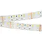Минифото #11 товара Светодиодная лента RT-B144-19mm 24V RGBW-Day (32 W/m, IP20, 5060, 5m) (Arlight, -)